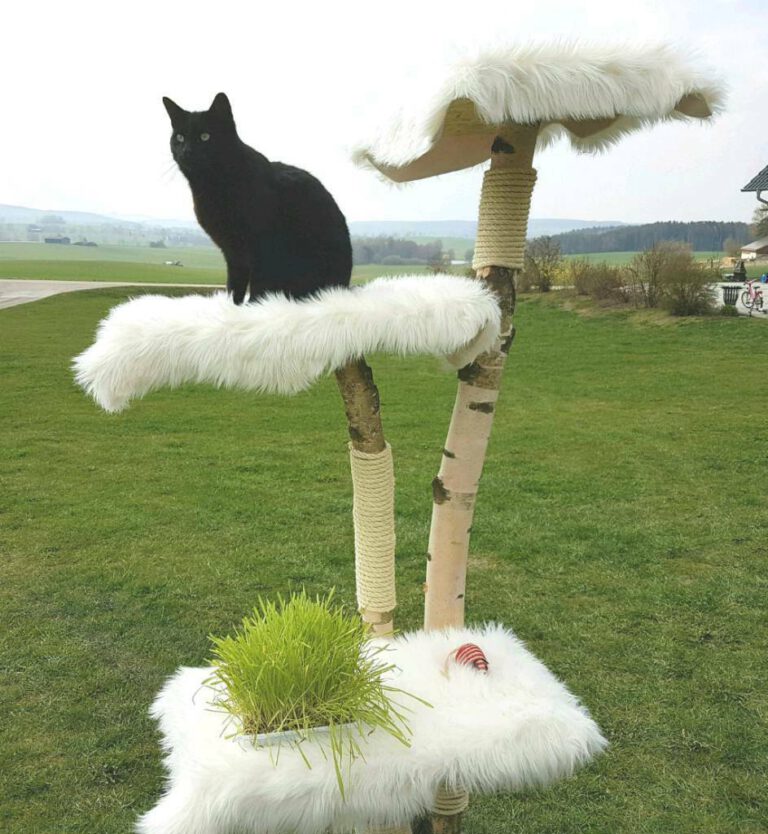 Katzen Kratzbaum Drexler Garten Haus Shop