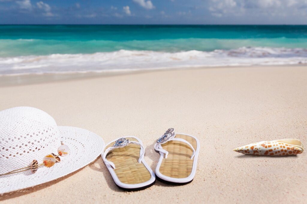 beach, sand, nature, sea, sandy beach, vacations, caribbean, coast, summer, coneflower, flip-flop, shell